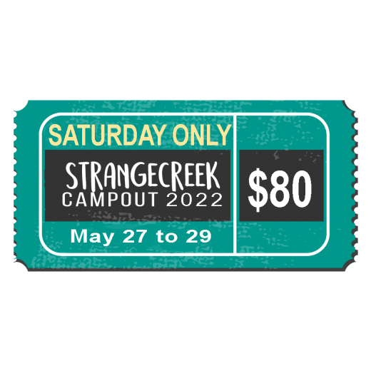 Saturday-only ticket image