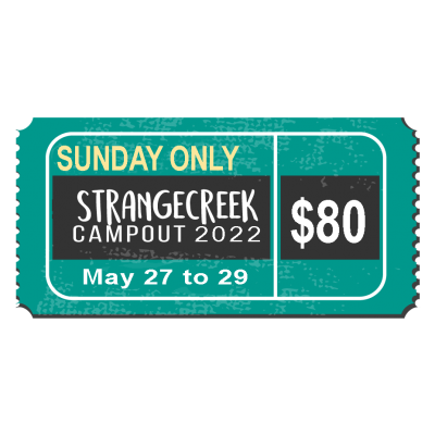 Sunday single-day ticket image